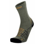 0751-forest, 41-42